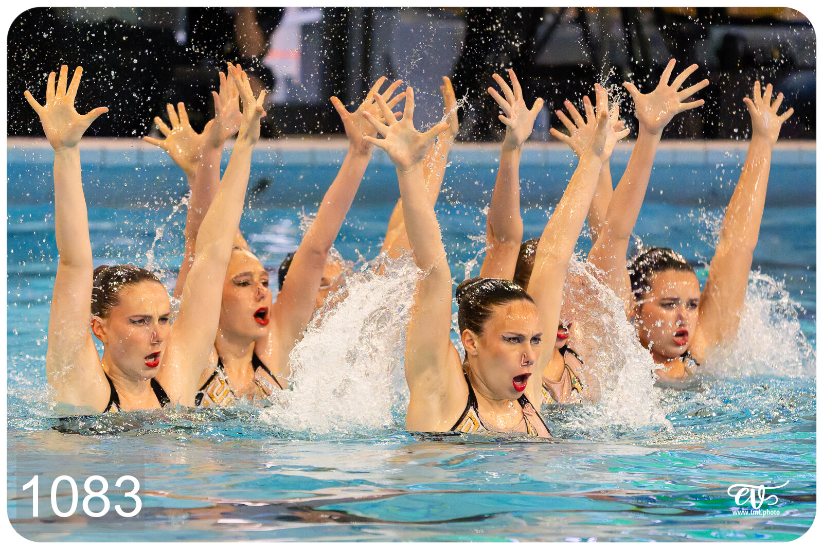 CHAMPIONNAT DE FRANCE DE NATATiON ARTISTIQUE N1 & ELITE 2026